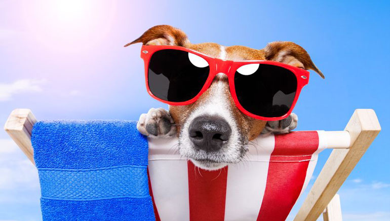 Zomersolden Promotie Tot En Met 17 Augustus